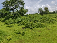 attractive sea front land - 2