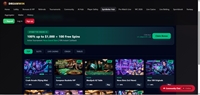 premium casino gaming platform - 2